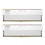 ESSENCORE ESSENCORE KLEVV DDR5-6000 CL28 URBANE V RGB 화이트 패키지 서린 (32GB(16Gx2))
