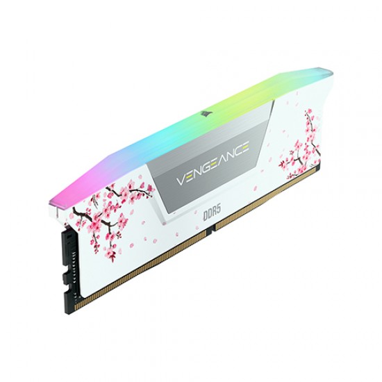 이미지 미리보기